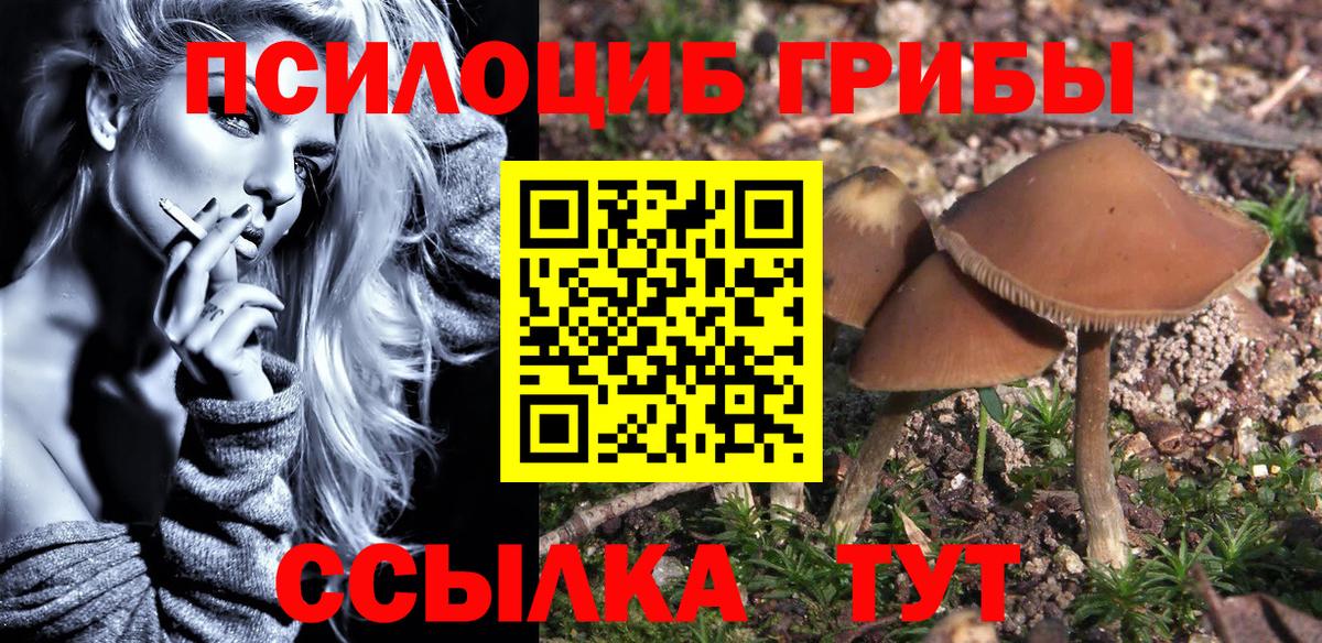 Галлюциногенные грибы прущие грибы  Вход с VPN  Сосновый Бор 