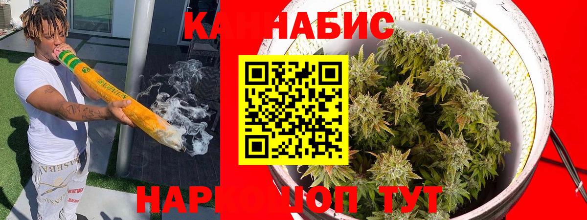 МАРИХУАНА сатива Сосновый Бор